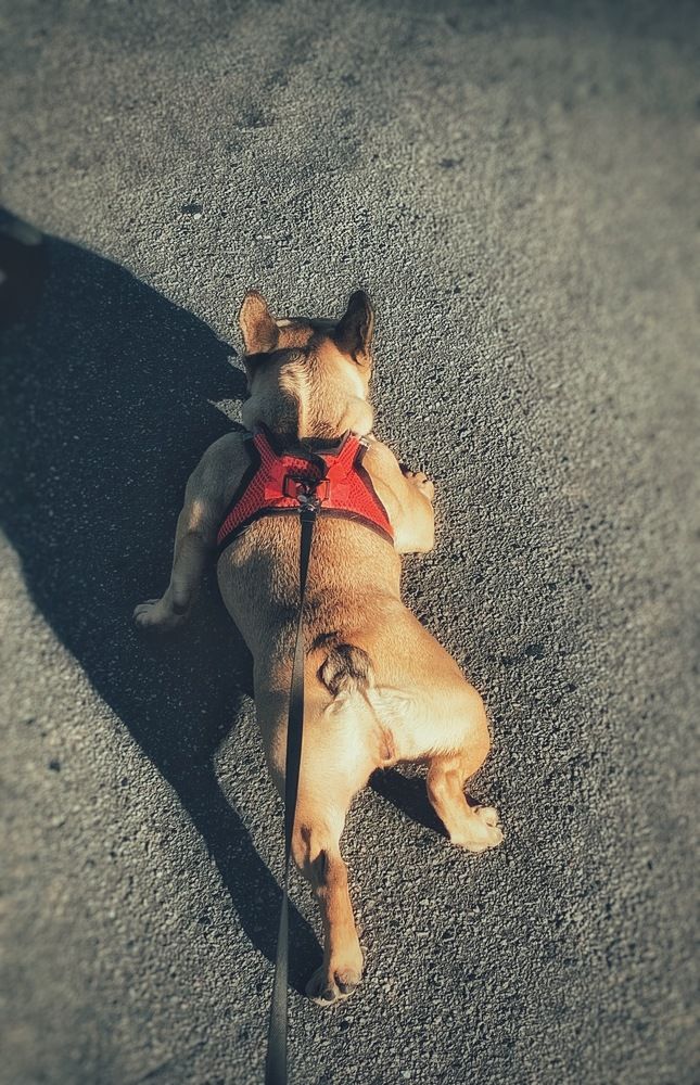 Photograph by Дайана