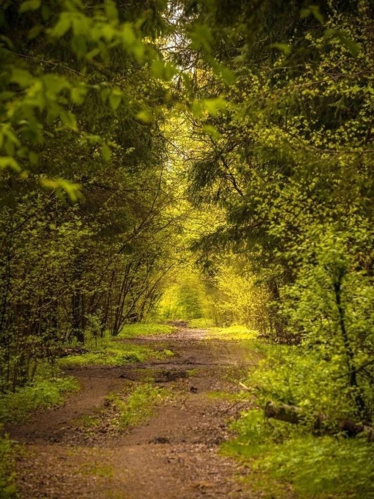 Photograph by Евгений Никонов