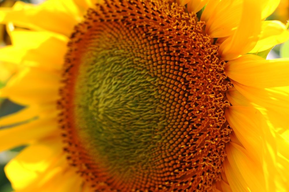 Photograph by Ксения Левченко