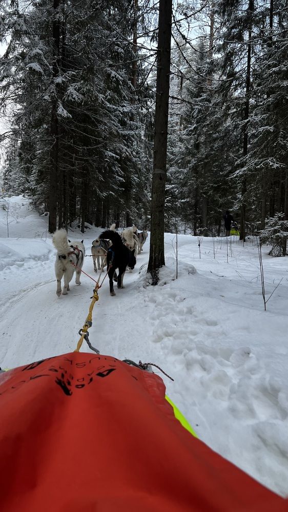 Photograph by Ирина Корнева