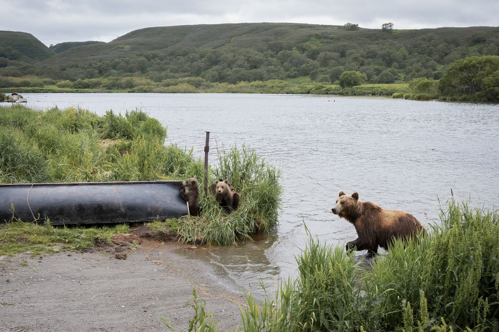 Photograph by Ирина Корнева