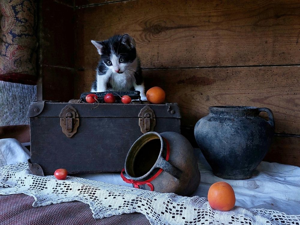 Photograph by Ольга