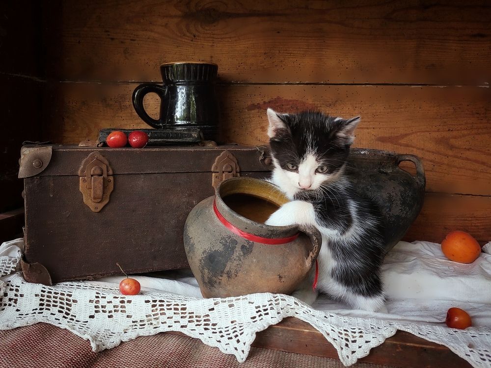 Photograph by Ольга