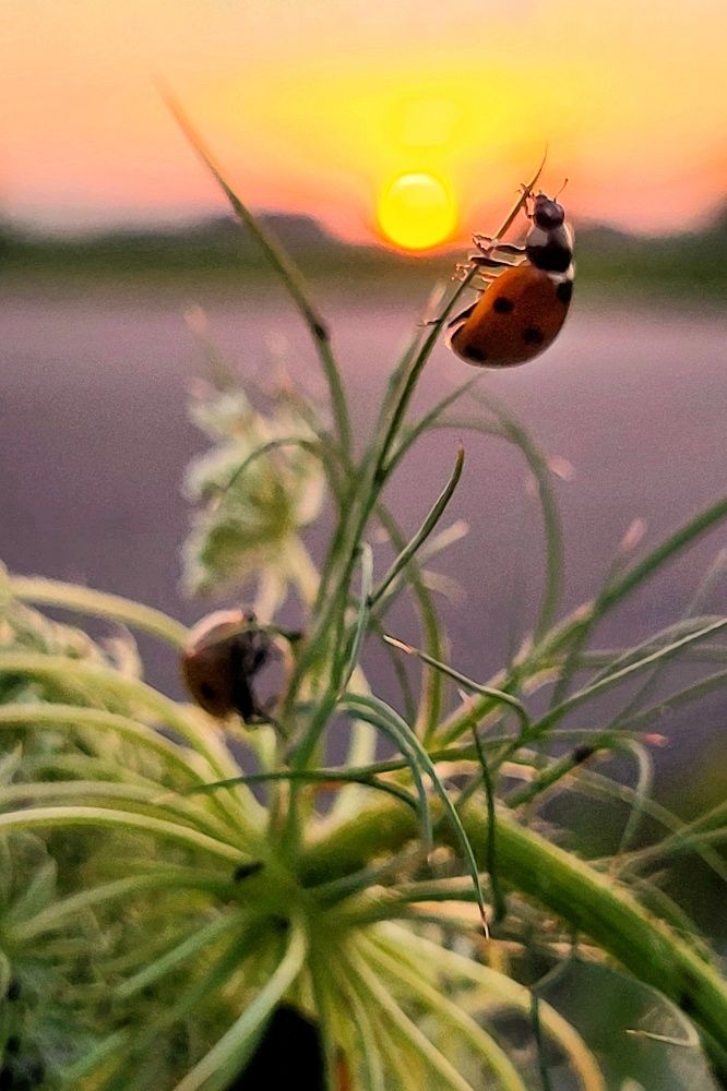 Photograph by Marina Gritchina