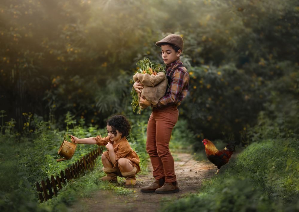 Photograph by avishag twito