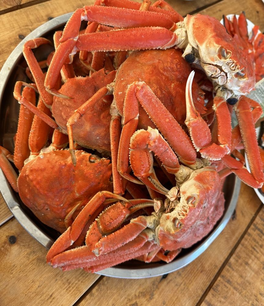 Фотография автора Яврова Татьяна