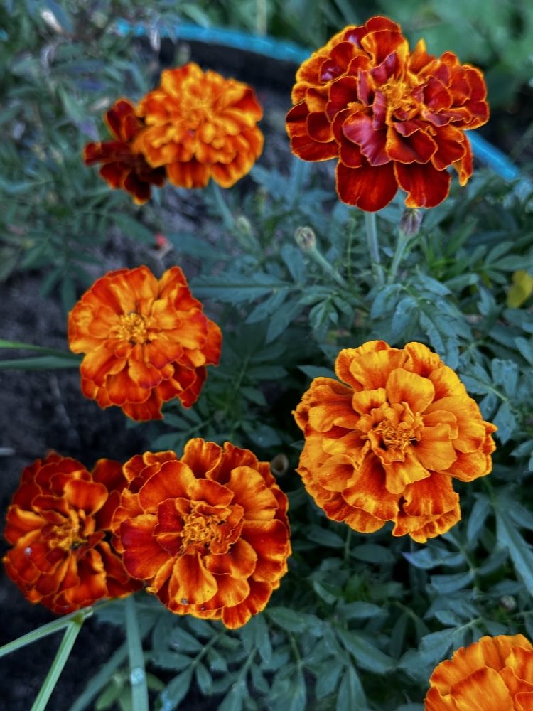 Фотография автора Яврова Татьяна