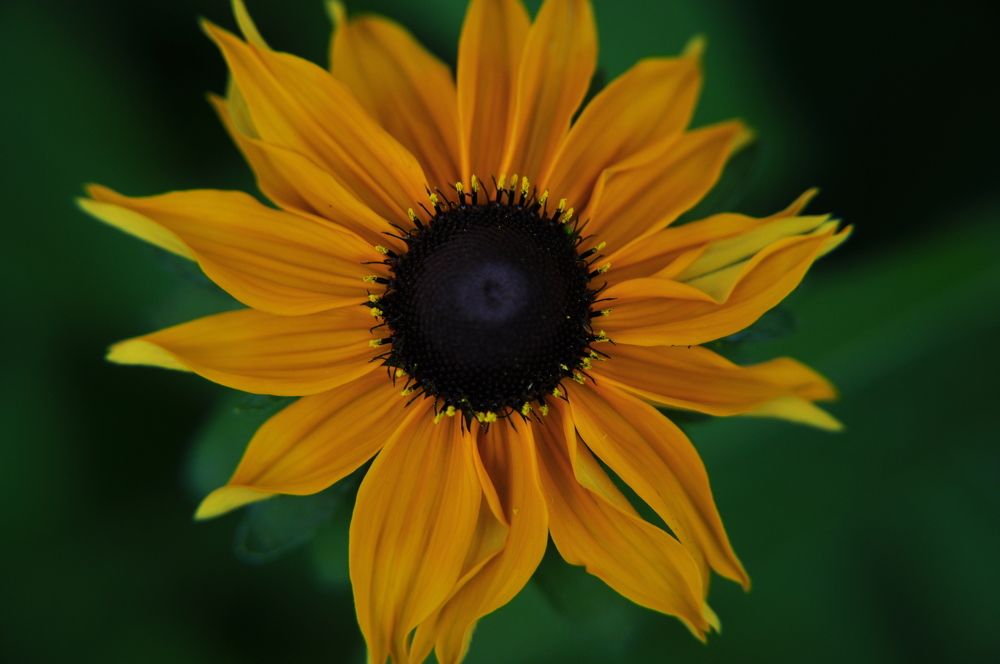 Photograph by Юлия Козельских