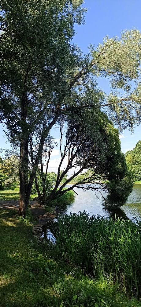 Photograph by Анна Липилина