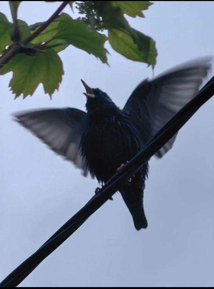 Photograph by Ирина Тихая