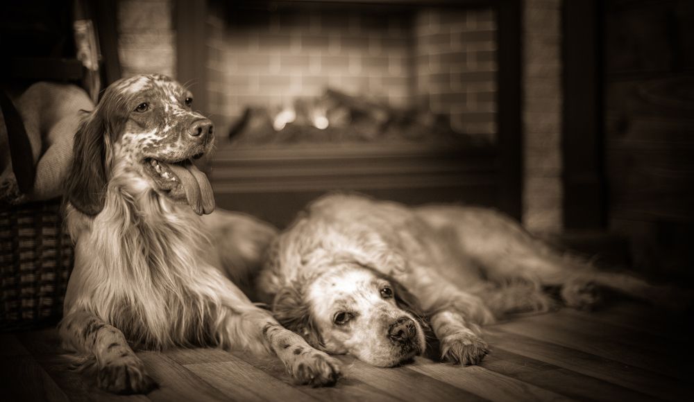 Отдых у камина после охоты.