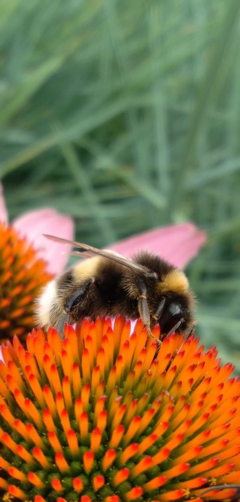 Photograph by Любовь Макарова