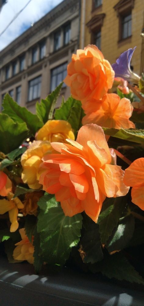 Photograph by Любовь Макарова