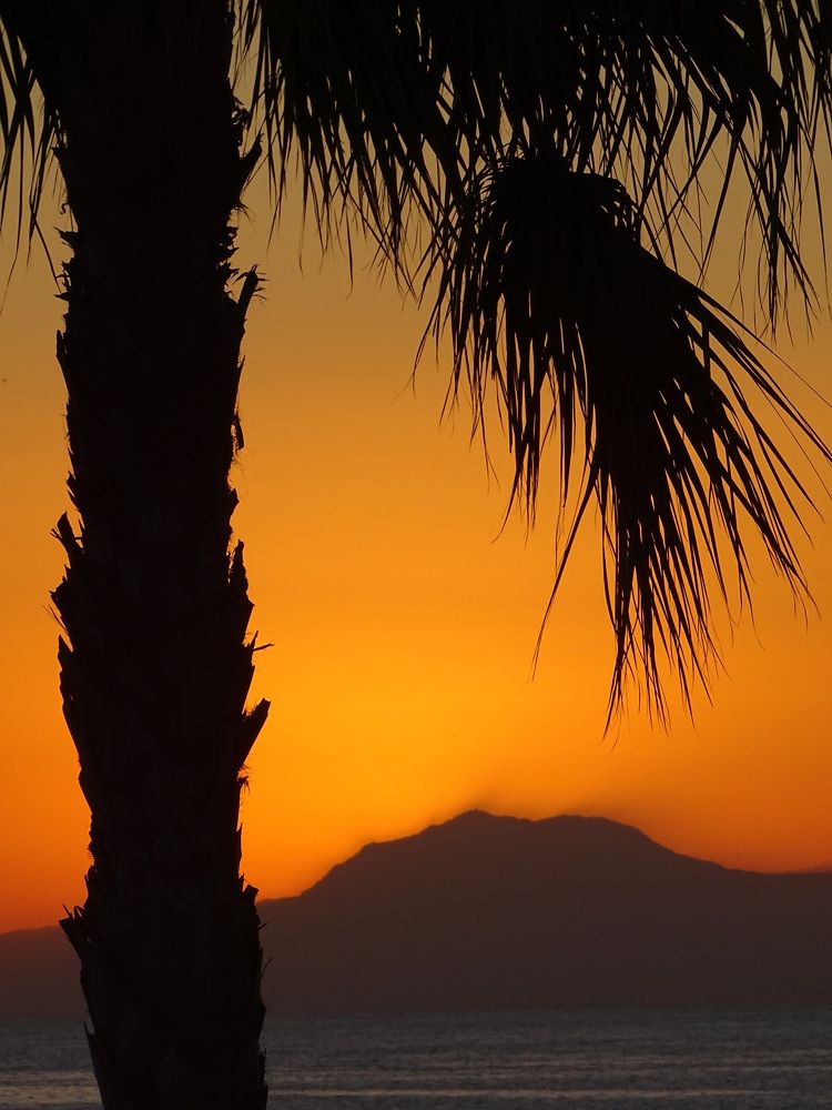 Photograph by Марина Мишина