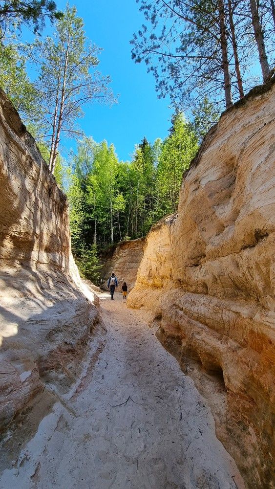 Photograph by Marie G