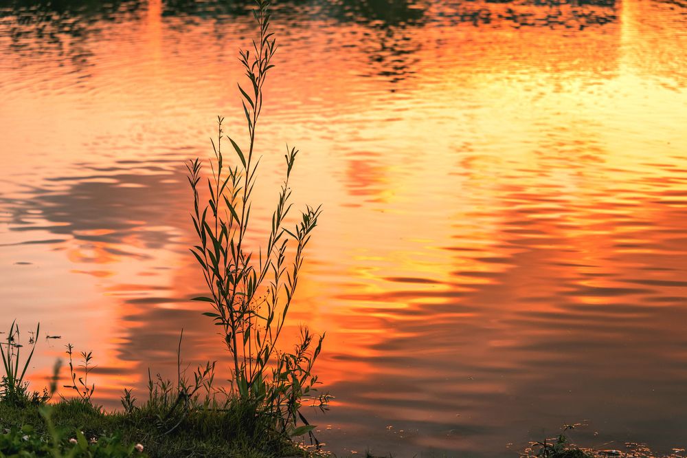 Фотография автора Светлана Разумовская