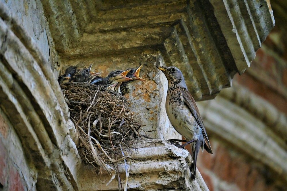 Photograph by IRINA FILIPPOVA