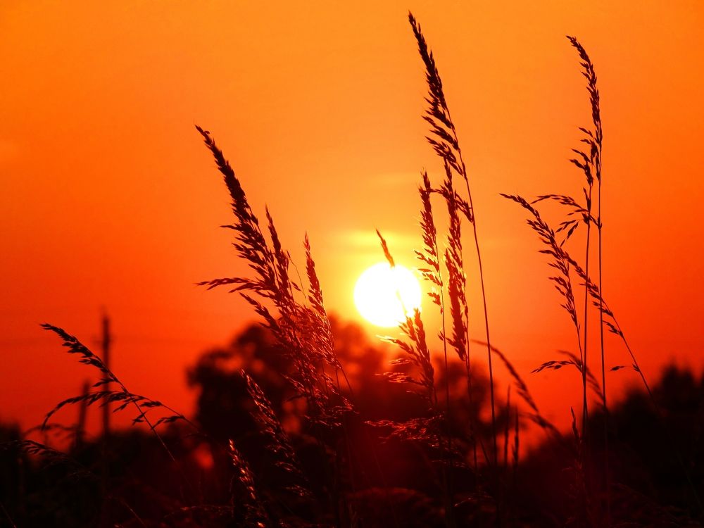 Летний закат в деревне...