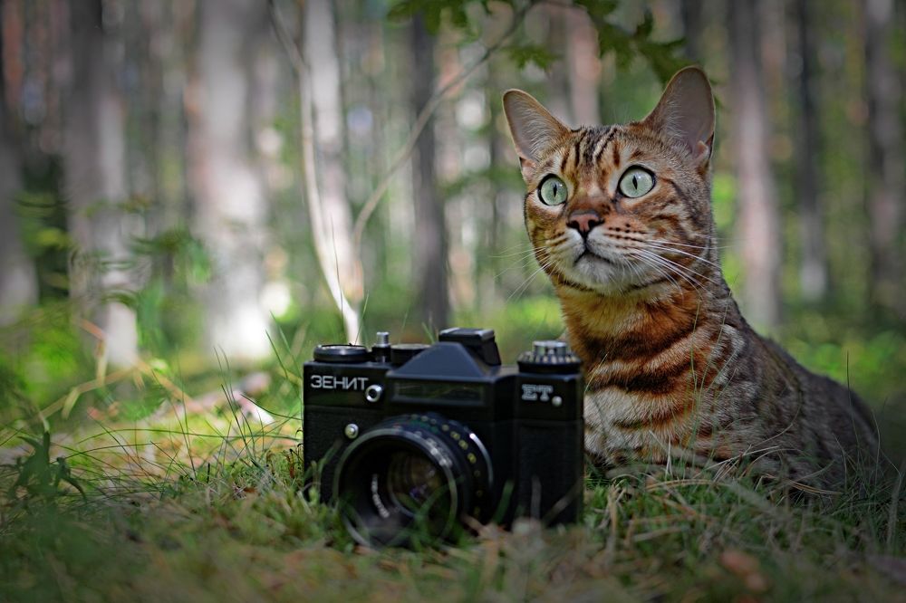 Photograph by Александр Павлов