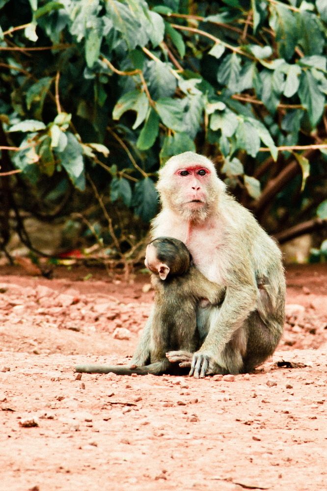 Photograph by Илья Ушак