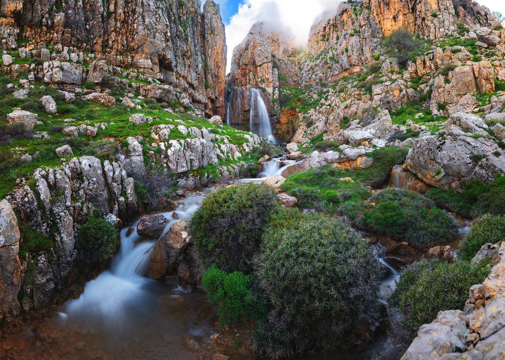 Photograph by Seif Eddine Alaa