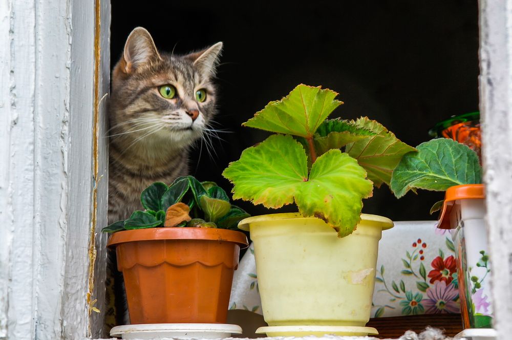 Photograph by Ольга Ситникова