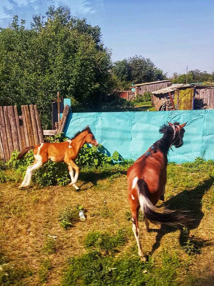 Photograph by Алла Никушкина