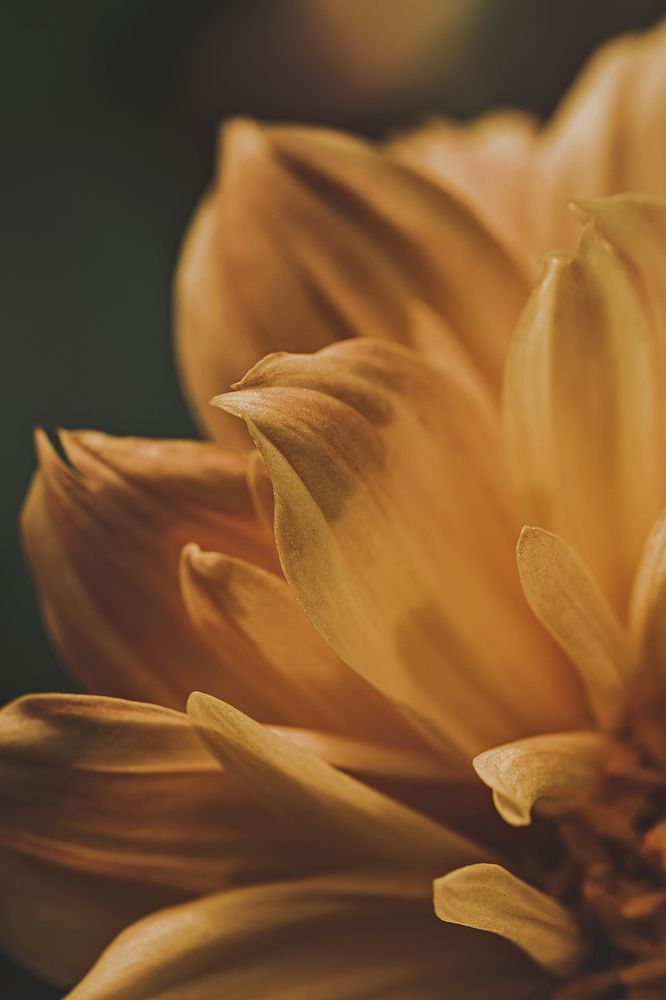 Photograph by Jose Vega