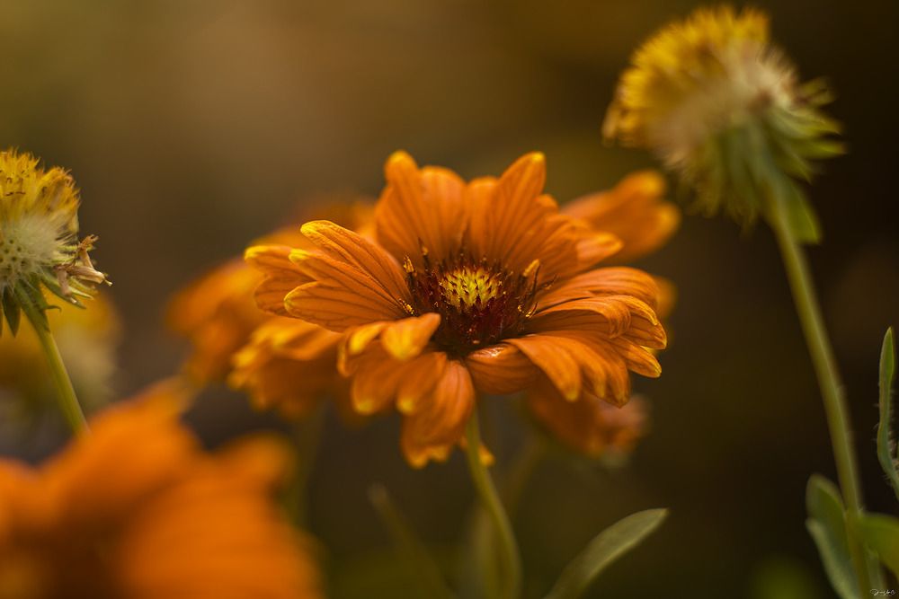 Photograph by Jose Vega