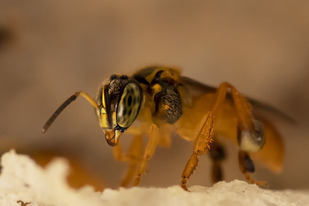 Photograph by Jose Vega