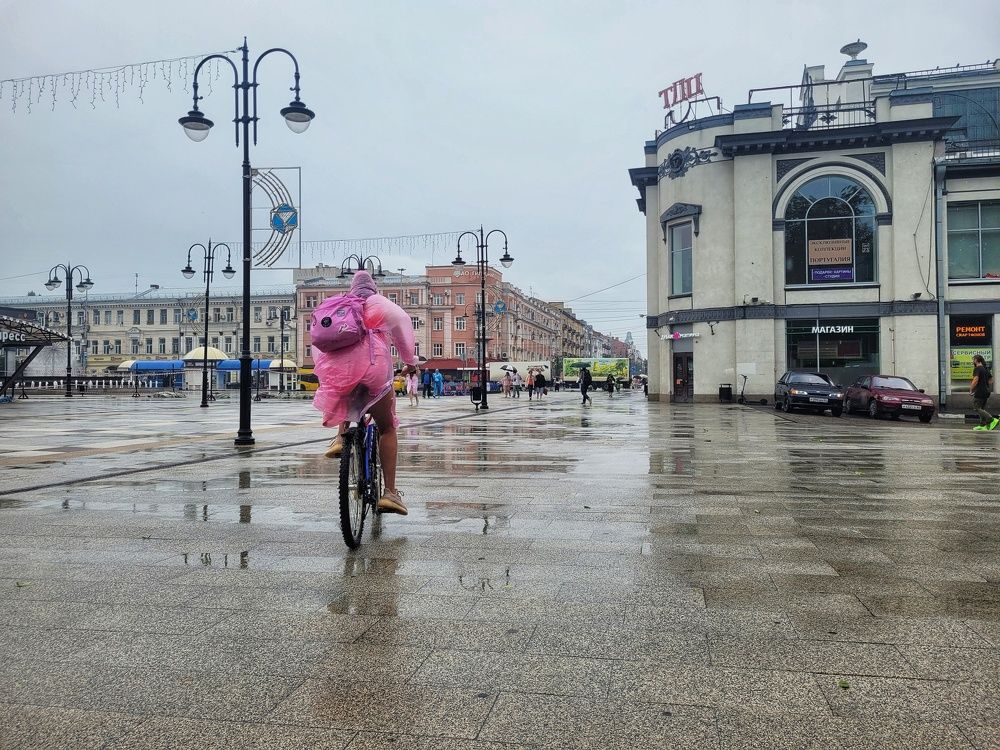 Photograph by Алла Никушкина