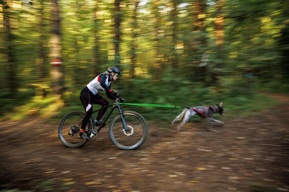 Photograph by Илья Юфа