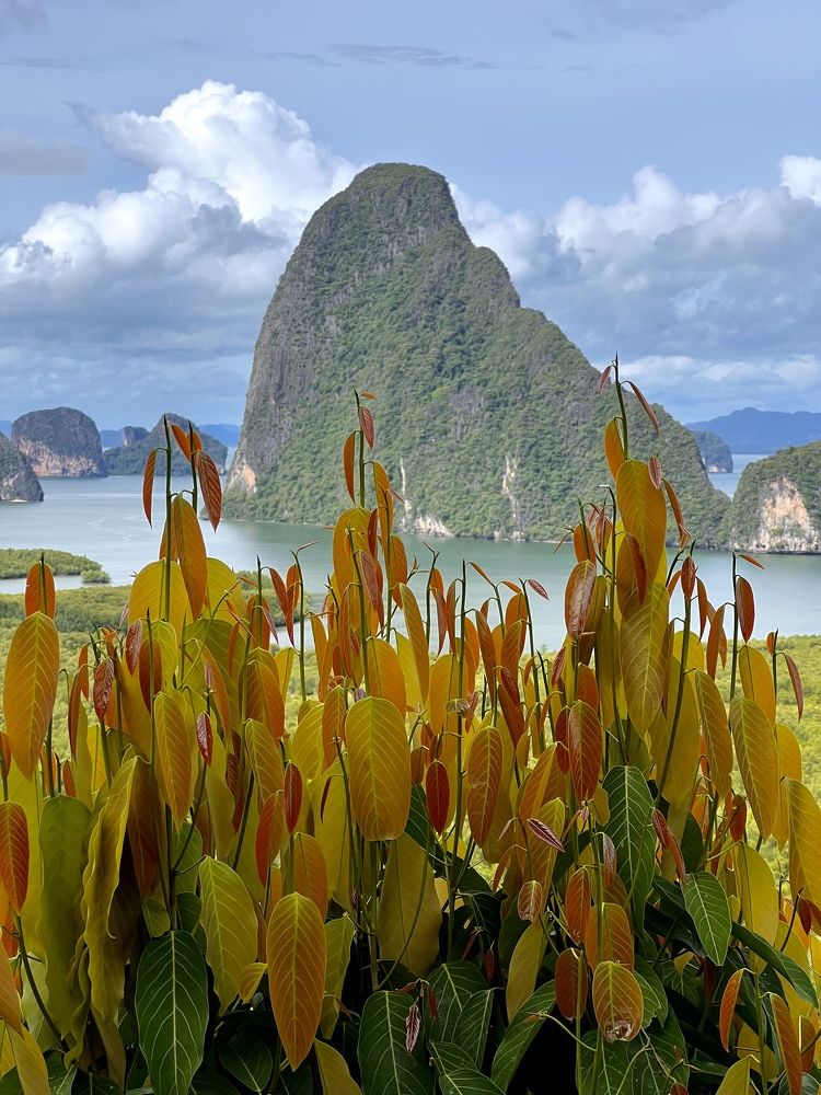 Photograph by Олег Банковский