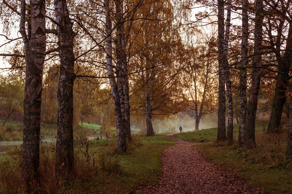 Photograph by Илья Юфа