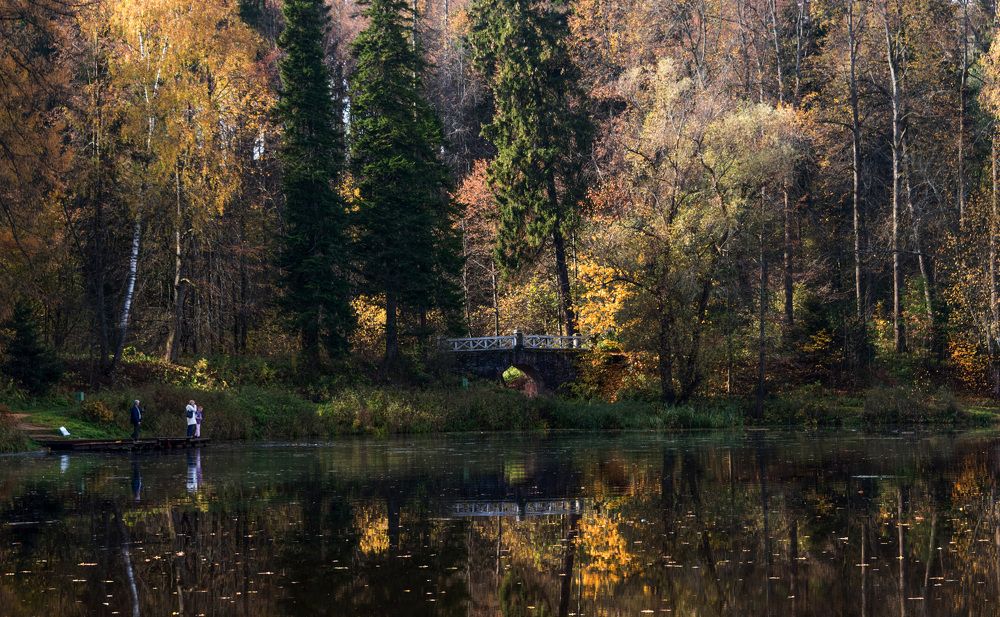 Photograph by Владимир Безбородов