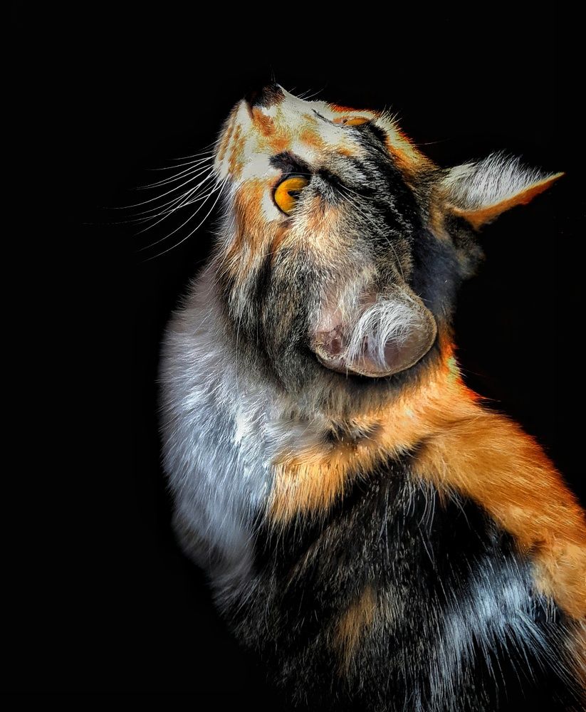 Photograph by Roberto Hagemann