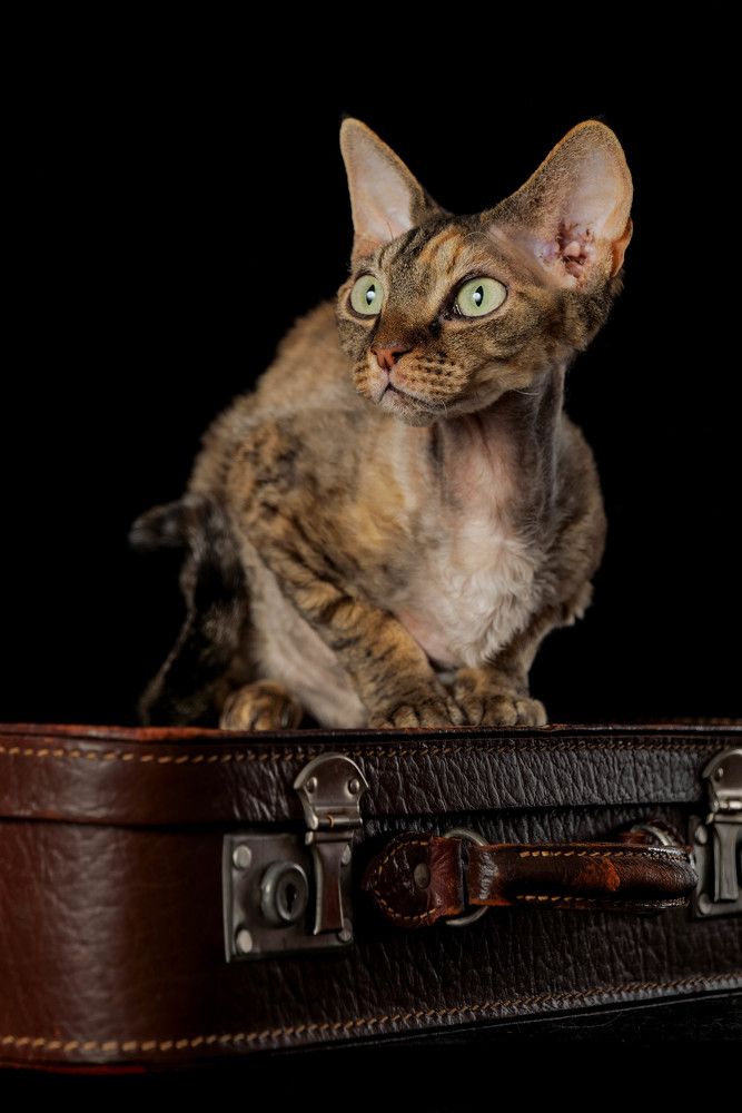 Photograph by Acrement Valentina