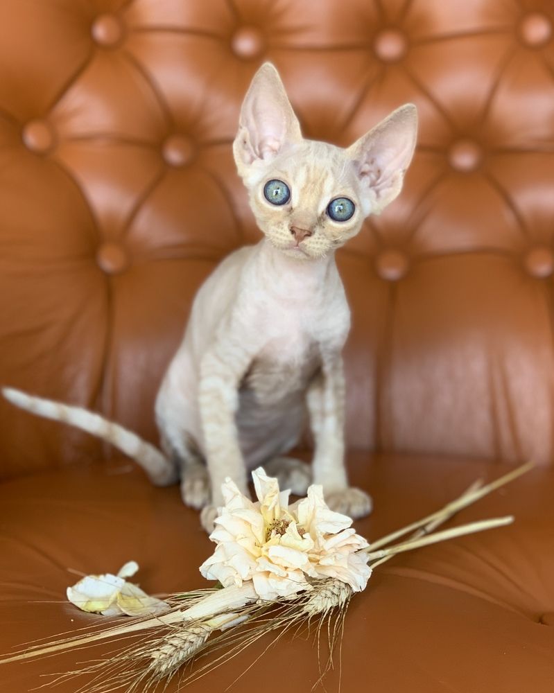 Photograph by Acrement Valentina