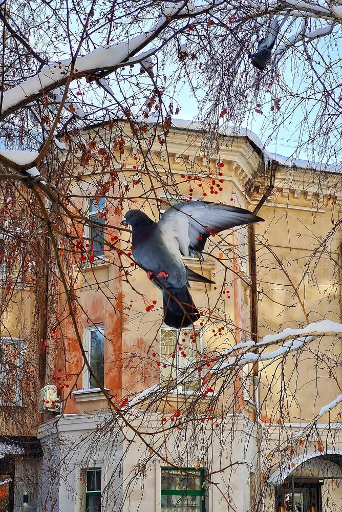 Photograph by Ольга Веселова