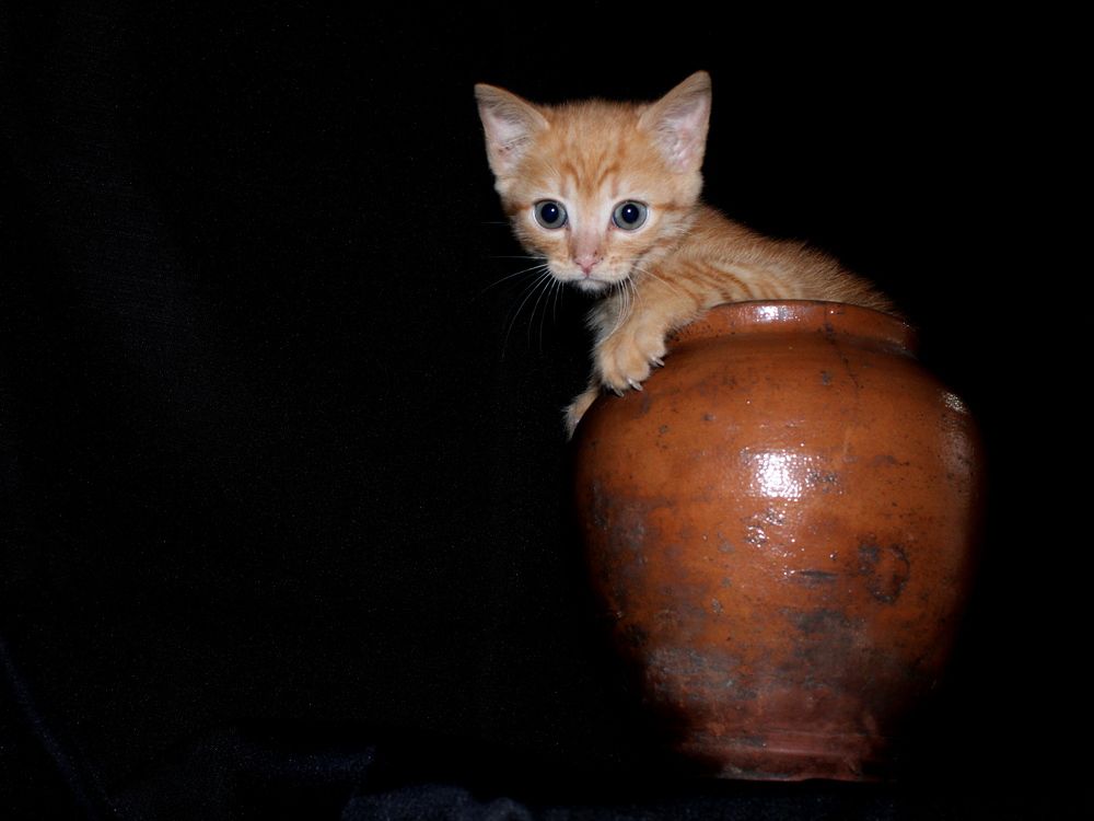 Photograph by Дмитрий Симагин