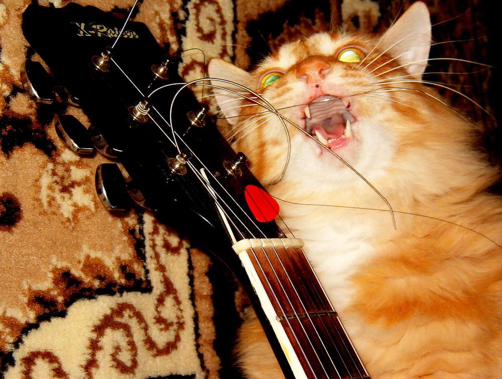 Photograph by Дмитрий Симагин