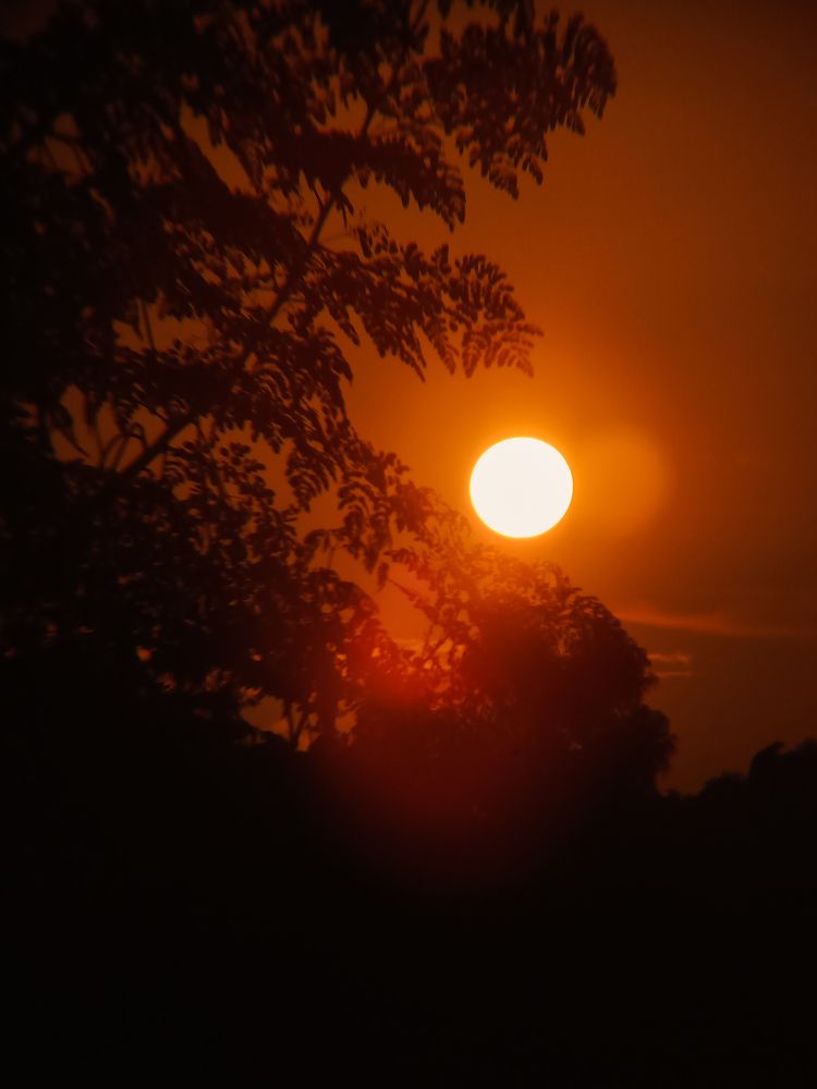 Photograph by Sheryne Suarez