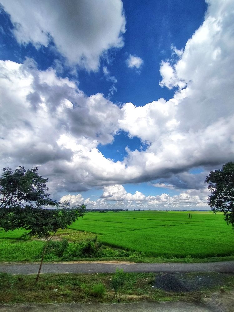 Day landscape