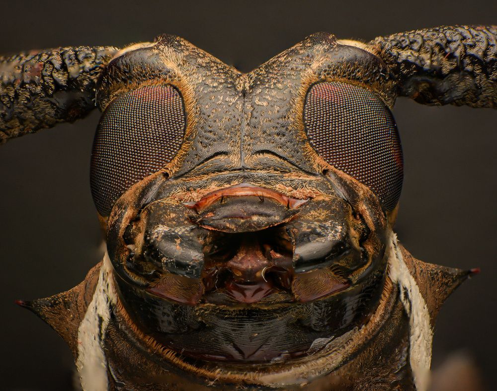 Photograph by Norman Celis