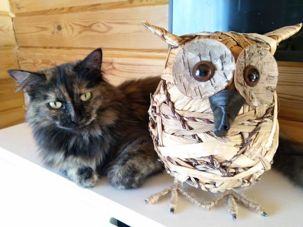 Photograph by Кира