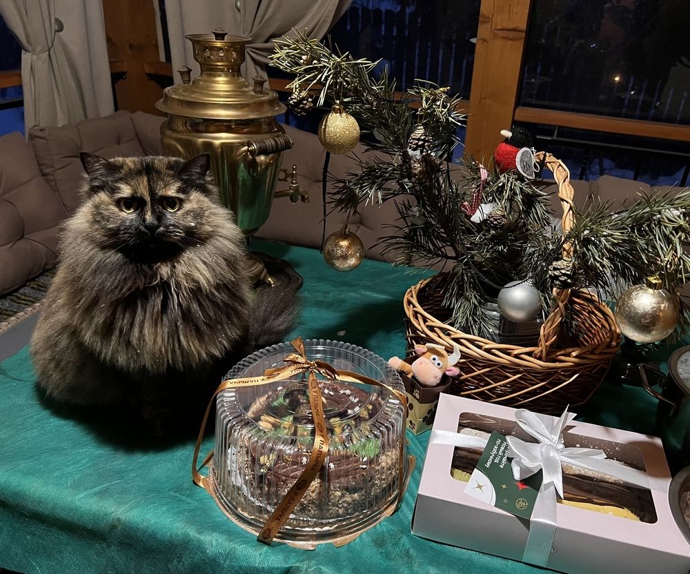 Photograph by Кира