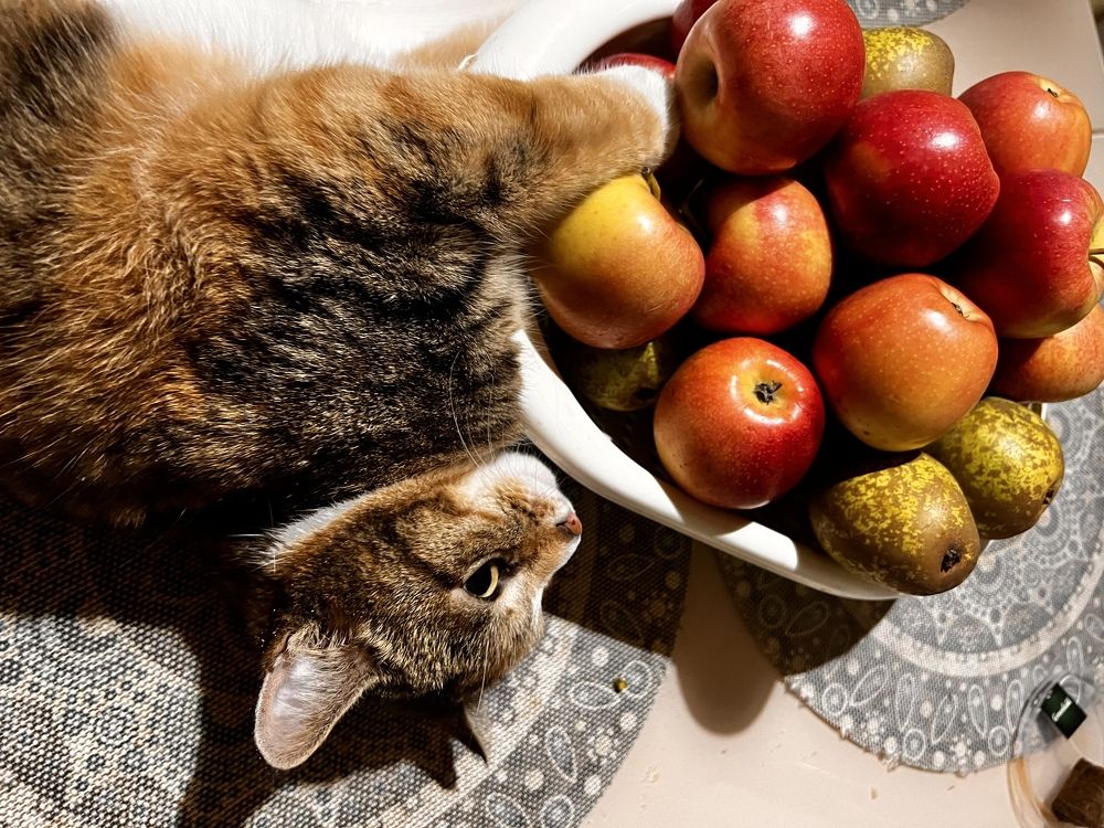 Photograph by Кира