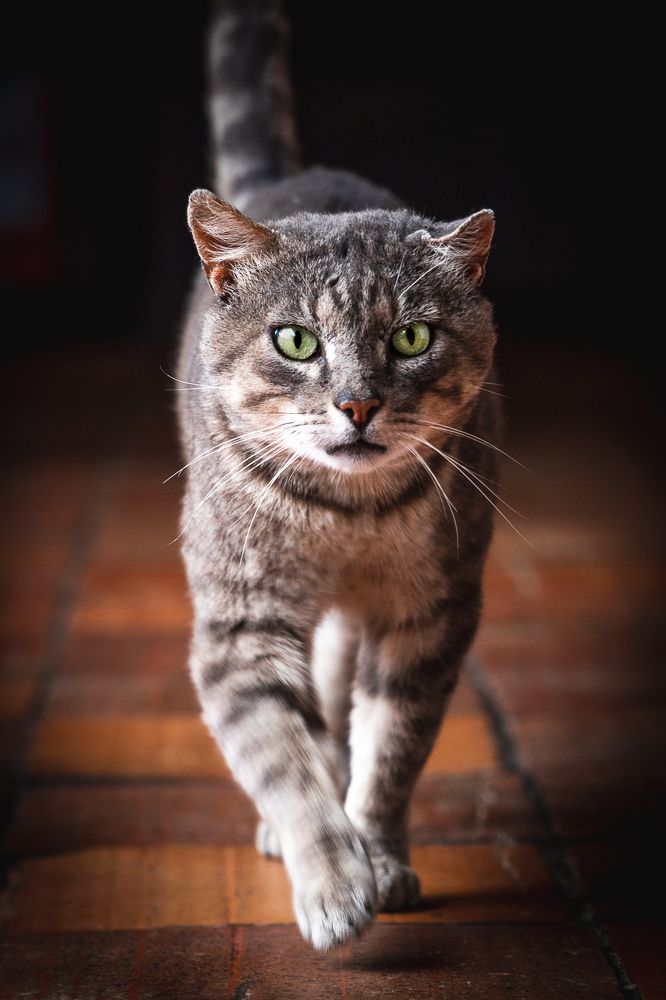 Photograph by María Paula Lozano