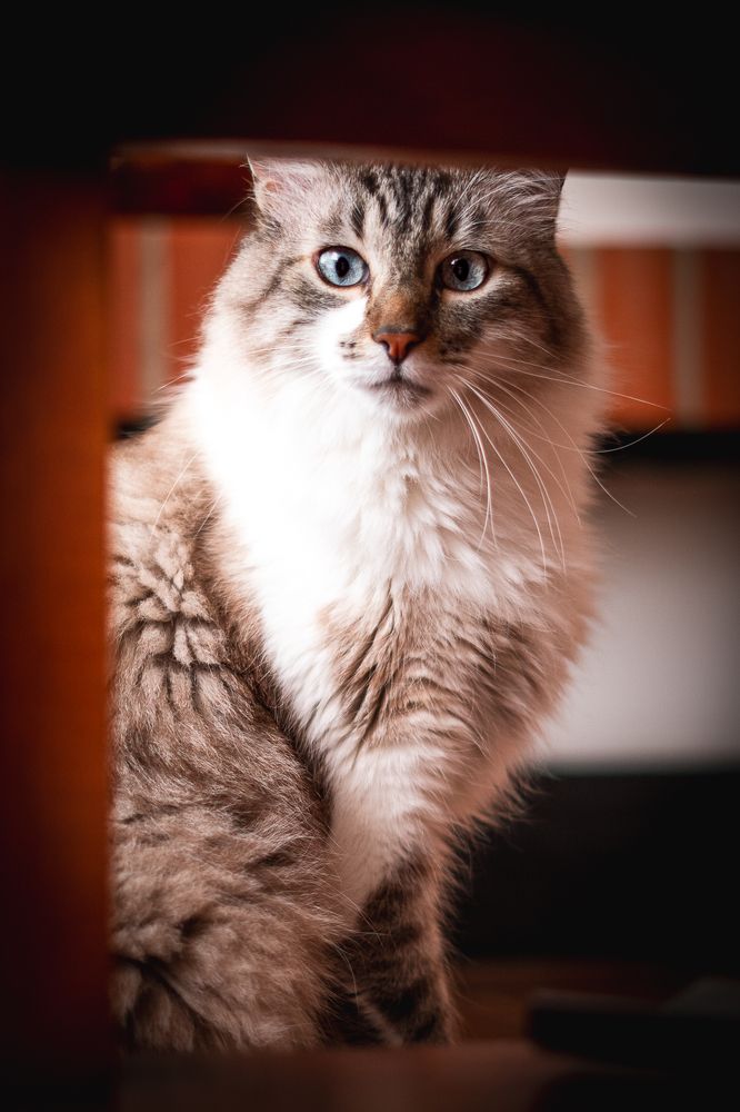 Photograph by María Paula Lozano