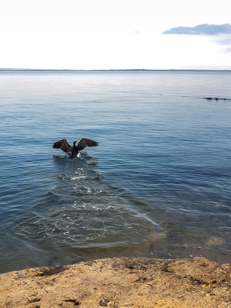 Photograph by Лариса Когтева